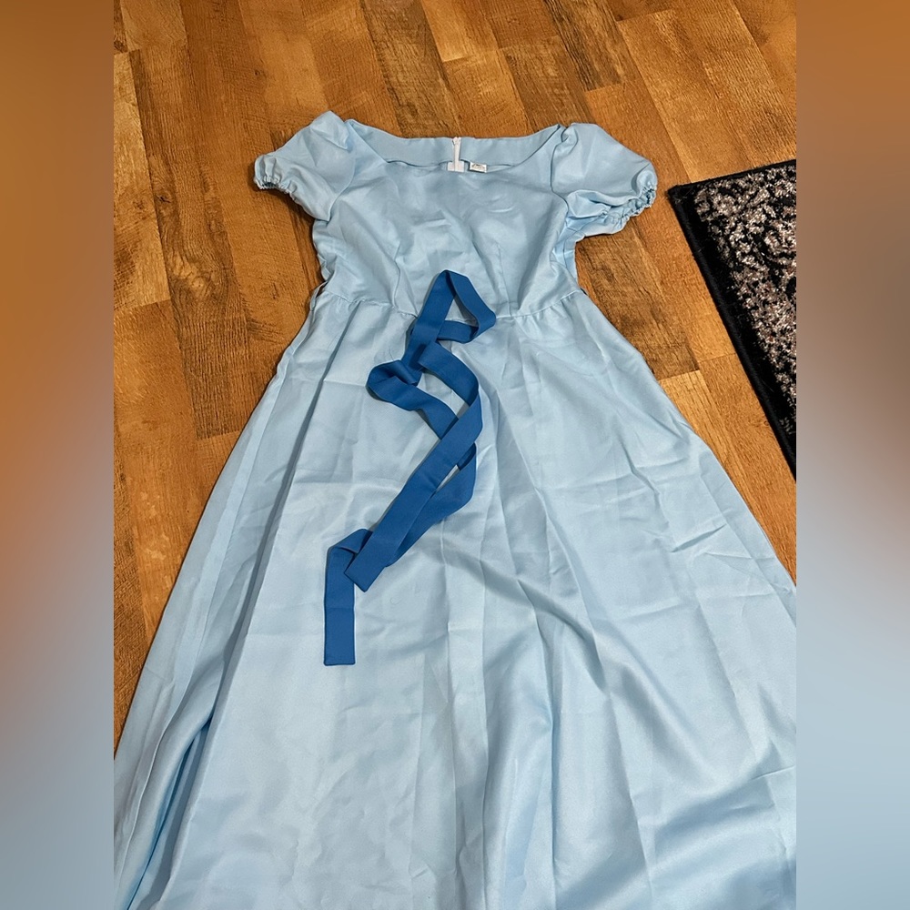 Women’s Disney Wendy costume